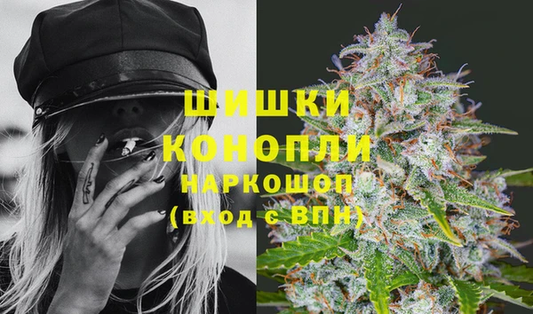 сатива Абаза