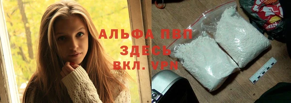 сатива Абаза