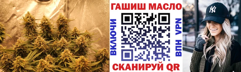 купить   Никольск  omg   ТГК жижа 